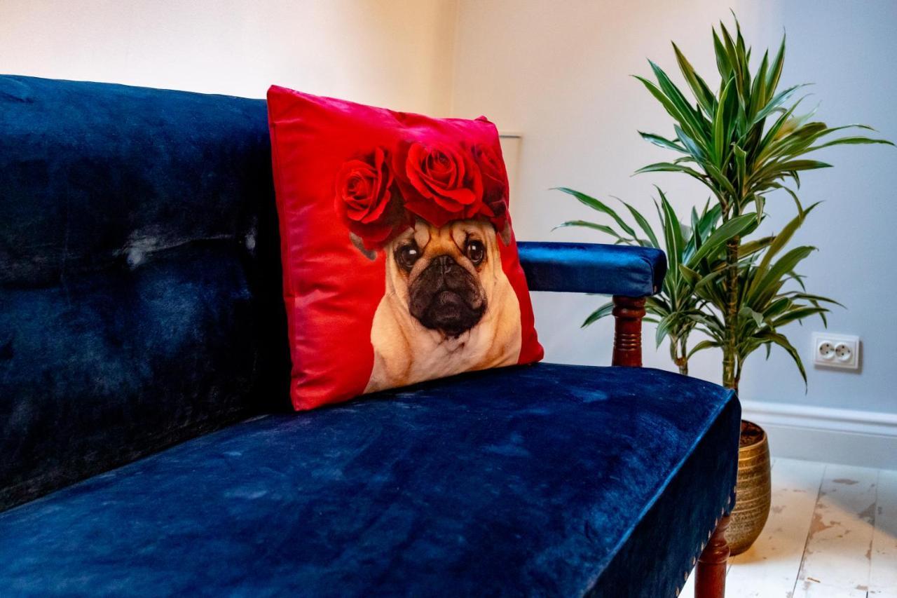 Casa Zielinski Sighișoara Dış mekan fotoğraf
